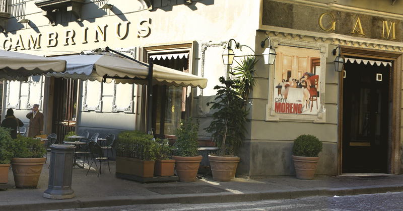 caffe gambrinus moreno